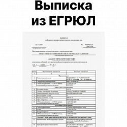 Выписка из ЕГРЮЛ